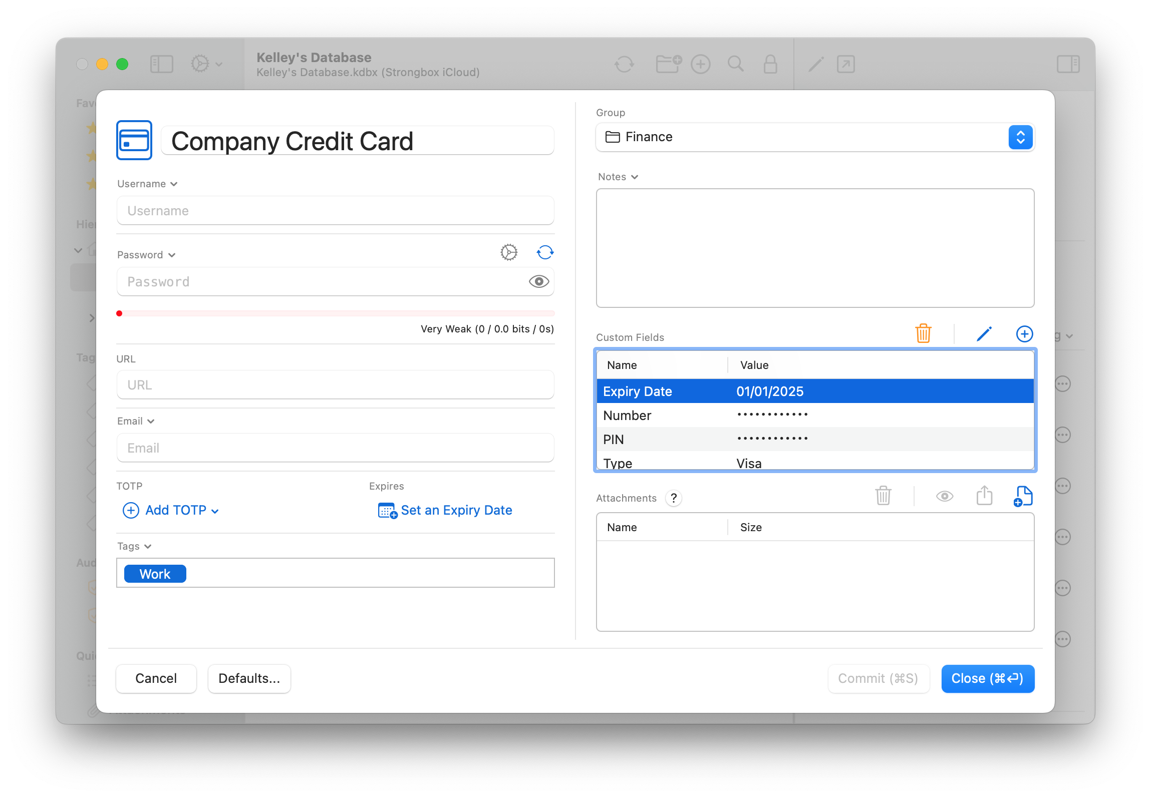 Company Credit Card entry on Mac.png